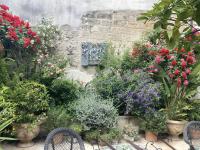 Le Cloitre des Augustins 5 stars Spa & Fitness - Bed and Breakfast Avignon