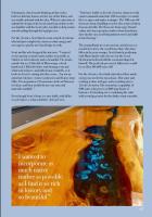 The Pirate's Rest - B&B Pauanui