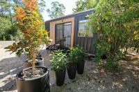 Maple Tiny Home - B&B Bright
