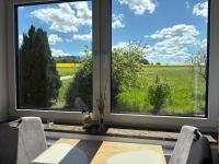 Kamin-Apartment Bodanum mit eigener Terrasse - naturnahe Ortsrandlage - VDSL - 10 min zum Nürburgring - B&B Bodenbach