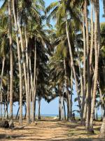 Katadi beach homestay - Ferienwohnung Thrissur