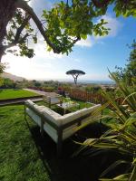 La Pigna Sorrento - Bed and Breakfast Piano di Sorrento