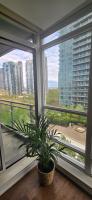Lovely condo near Lake Ontario - Chambres d’hôtes Toronto