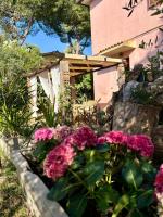 Agriturismo Porta al Colle - B&B