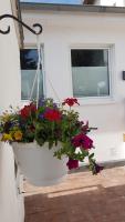 Inselhuus Felimar - B&B Norderney