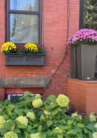 Central Square Studio with Off-Street Parking - B&B Cambridge