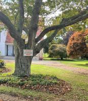 The Little House - B&B Cambridge