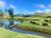 Galil Farm - B&B Crossroads