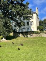 Manoir a 20mins de la mer et de l'Ile de Brehat au bord du Trieux - Moutons Ouessant et Chevres des Fosses - B&B Pontrieux