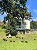 Manoir a 20mins de la mer et de l'Ile de Brehat au bord du Trieux - Moutons Ouessant et Chevres des Fosses - Bed and Breakfast Pontrieux