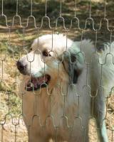 Habitación Doble Grande