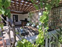 newly renovated Large villa with garden - B&B