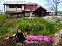 Funky Monkey Lodge, Myoko ファンキーモンキーロッジ 妙高 - B&B Myoko
