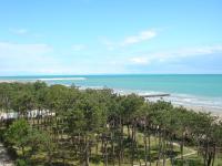 Seaview flat just 70mt from the sea - B&B Porto Santa Margherita