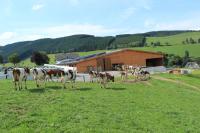 Ferienbauernhof Gördes - B&B