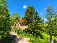 Stilvoll eingerichtetes Studio in historischem Bauernhaus, voll ausgestattet inmitten der Natur auf 75 qm - B&B Waldshut-Tiengen