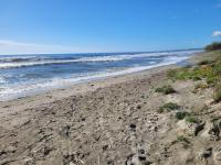 Mini villa au bord de la mer, proche Moriani (Corse) - B&B Poggio-Mezzana