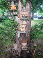 Május 1 apartman - B&B Dunaújváros