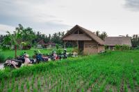 Pondok Mawas - B&B Ubud