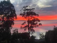 Spot the Sea eagle - B&B Woodbridge