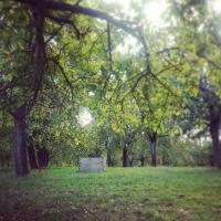 Tarrington Chase - Booklovers Hideaway & Rural Walks - B&B Stoke Edith