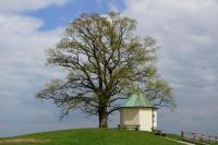 Gästehaus Funk - B&B Bad Feilnbach