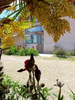gite des palmiers - B&B Ameugny