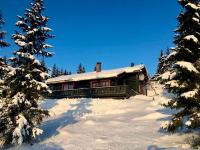 Large cabin at Sjusjøen with sauna, fireplace, view and cross-country skiing - Ferienwohnung Ringsaker