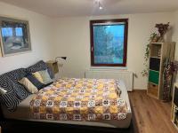 Klidné ubytování u Prahy - Ferienwohnung