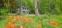 Clinton's hidden secret, a Distillerie until 1926 - B&B