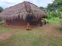 Nature Kingdom Sri Lanka - B&B