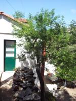 La casa di Filippo e Filippa - Bed and Breakfast Gioiosa Marea