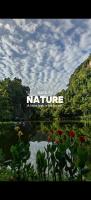 Magnificent Mountain & Lake Views' Suite Cycas - Bed and Breakfast Kampong Batu Lapan