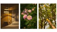 Chambre Double - Vue sur Parc