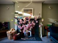 Kings Cross, Large 1 bd self contained hse & garden - B&B London