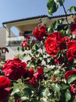 Apartman Ostrea *** - B&B Bale