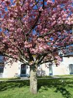 Les Chambres d'Emma - B&B Le Liège
