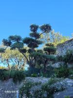 Le Jardin des Oliviers - B&B Apt