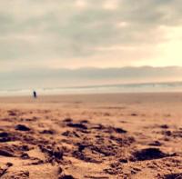 Maison Vendéenne avec Prestations - Ferienwohnung Saint-Hilaire-de-Riez