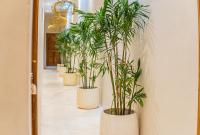La Dorada by Bohemian Jogja Villas - Ferienwohnung Yogyakarta