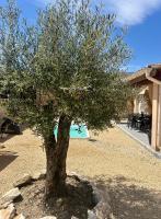 Maison au calme avec piscine Vallon Pont d'Arc - B&B Vallon-Pont-d'Arc