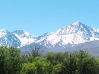 Starlight Motel - B&B Big Pine