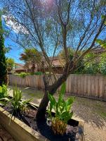 Charmante maison à 150 m de la plage - Chambres d’hôtes Lège-Cap-Ferret