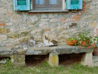 Casa Lina - Bed and Breakfast