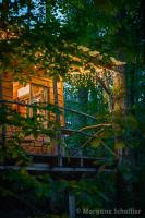 La cabane aux écureuils - B&B Philippeville