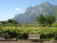 Lidia Apartment - B&B Riva del Garda