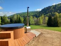 Chata pod Jelenim Skokiem - B&B Cisna