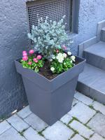 Ferienzimmer LANG - Ferienwohnung Apetlon