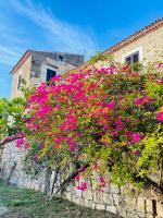 Casa Colonica - B&B Acciaroli