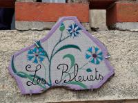 Les Bleuets - B&B Lapalisse